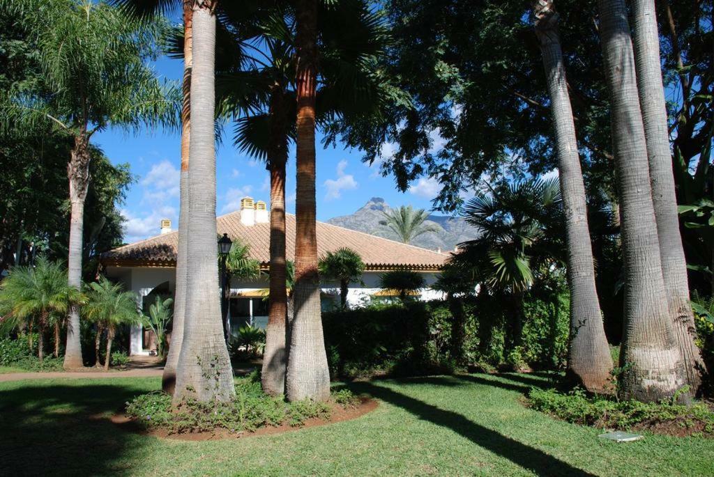 Great Puerto Banus Apartment Marbella Exteriör bild